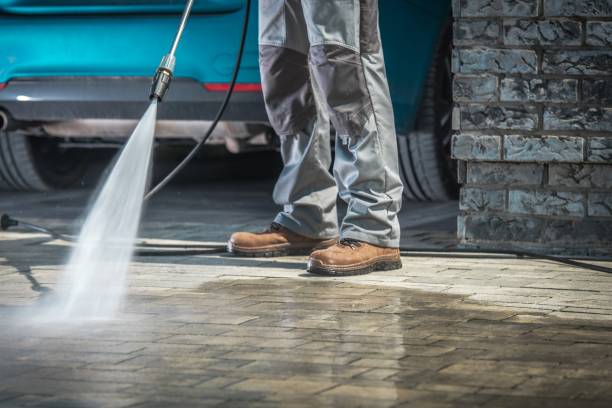 Best Dumpster Area Cleaning  in Plainfield, IL